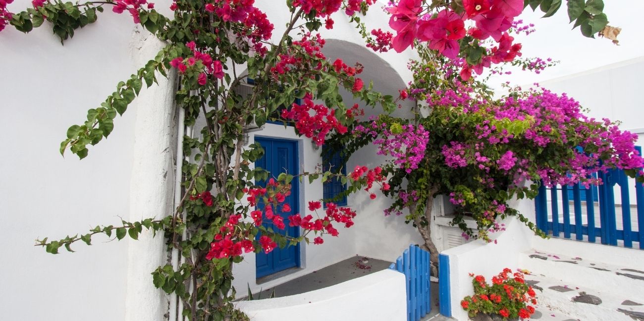 Greek-Name-Day-Soultana-Souzi