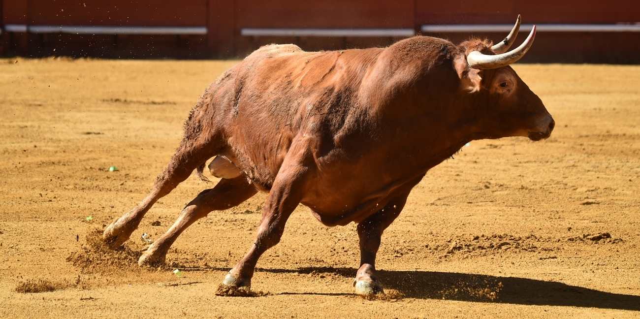 Running of the Bulls (Spain)