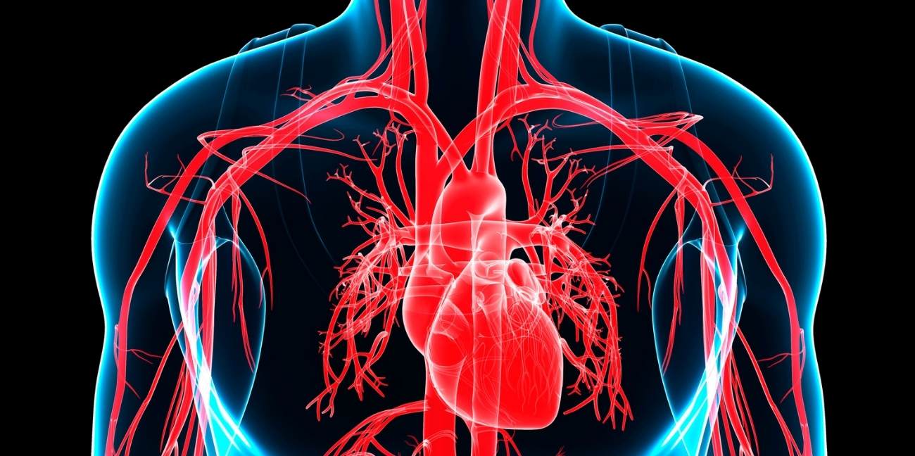 Congenital Heart Defect Awareness Day